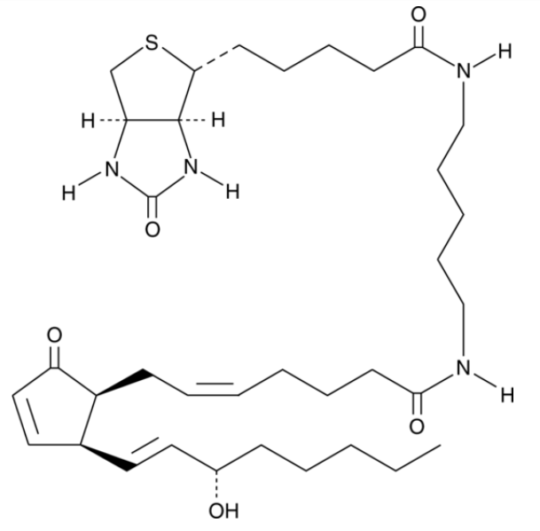 8-iso Prostaglandin A2-biotin