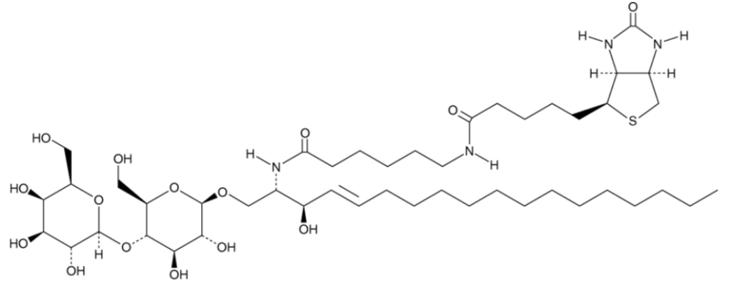 C6 Biotin Lactosylceramide (d18:1/6:0)