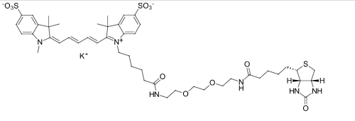 Sulfo-Cyanine5-PEG3-Biotin