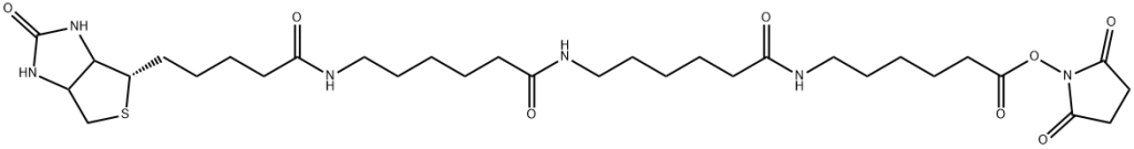 N-Biotinylcaproylaminocaproylaminocaproyl N-Hydroxysuccinimide | CAS 1322625-23-9