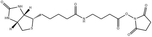 2,5-Dioxopyrrolidin-1-yl 4-(5-((3aS,4S,6aR)-2-oxohexahydro-1H-thieno[3,4-d]iMidazol-4-yl)pentanaMido)butanoate | CAS 258289-54-2