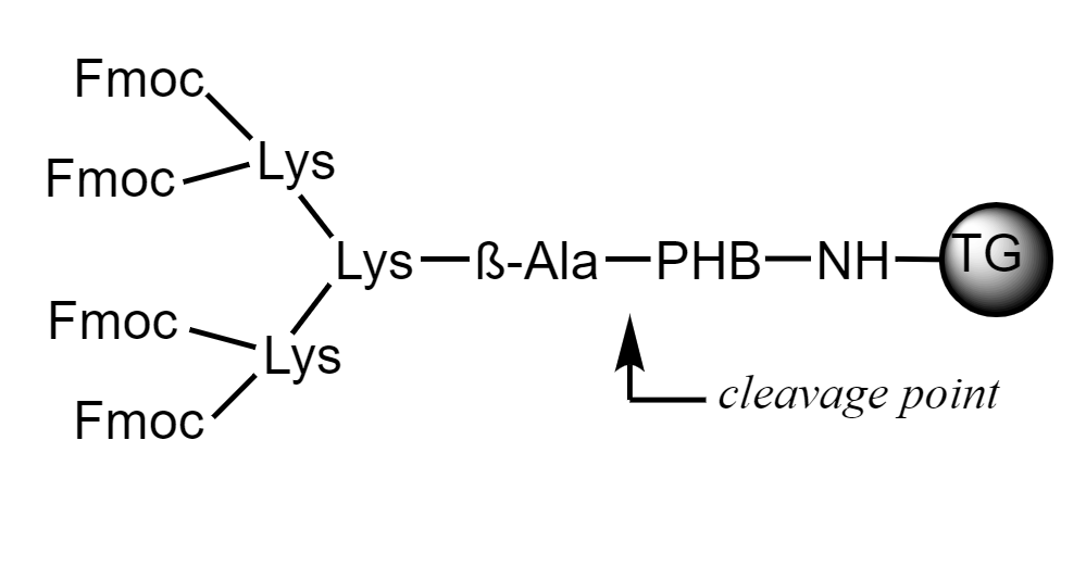 Low Crosslinked Polystyrene-PEG-cMAP 4 branch ß-Ala, 90 µm, Capacity 0.3-0.7 mmol/g