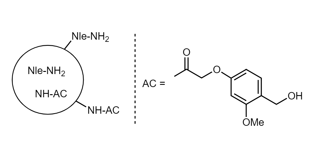 Low Crosslinked Polystyrene-PEG H AC, 130 µm, Capacity 0.2-0.3 mmol/g