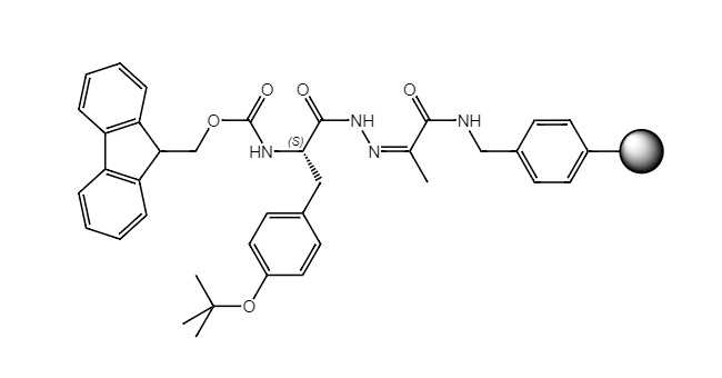 Fmoc-L-Tyr(tBu)-NHN=Pyv Resin, 100-200 Mesh, Loading ></noscript> 0.3 mmol/g, 1% DVB